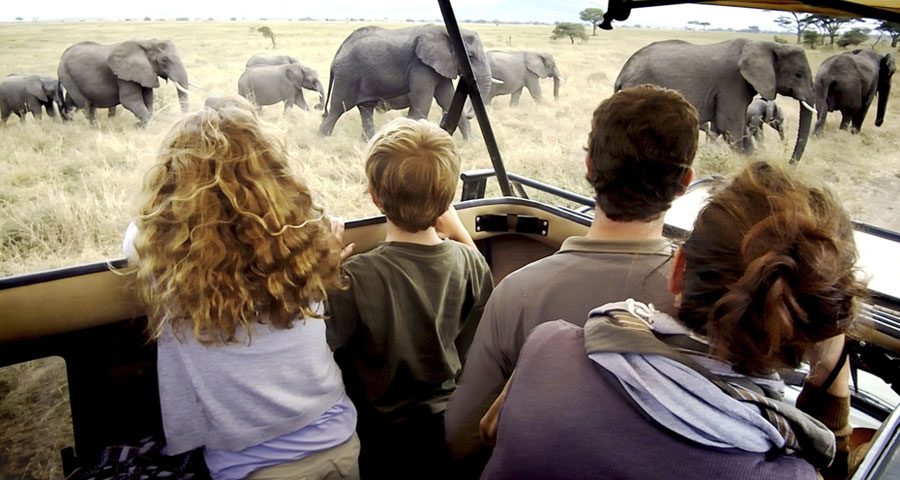 6-Day Family Safari in Tanzania
