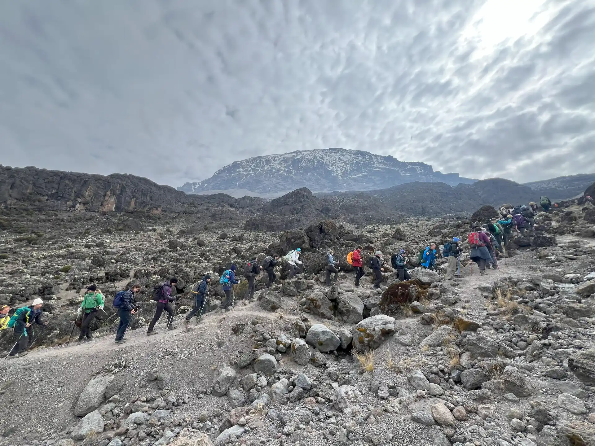 Family Kilimanjaro Success
