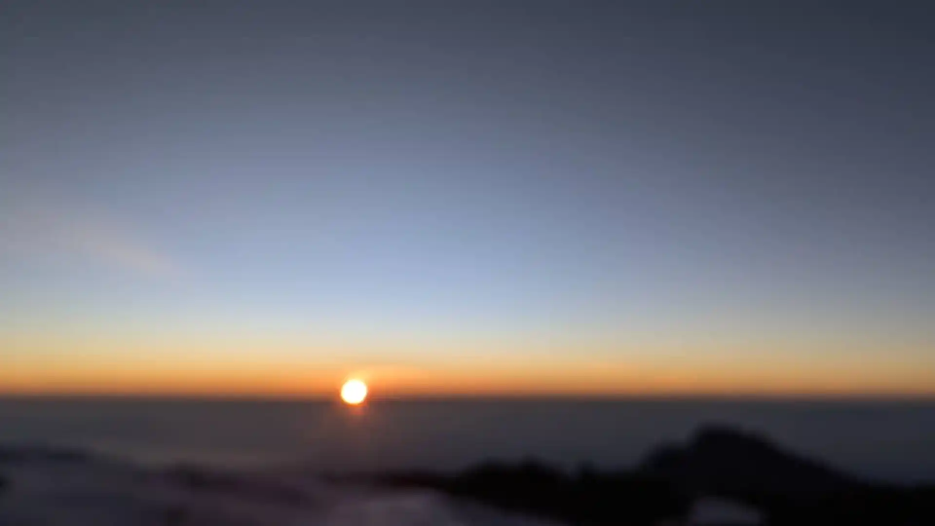 Safari Booking Guide