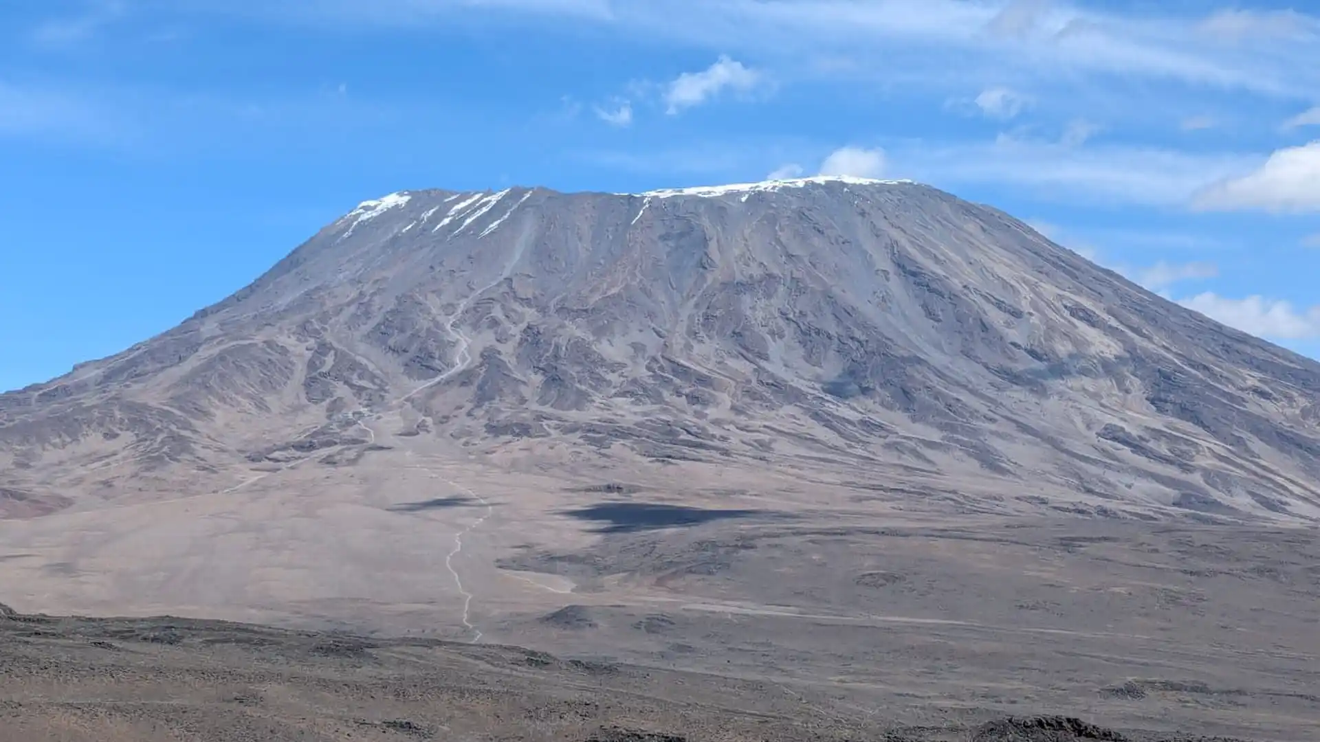 Tanzania Safari Background
