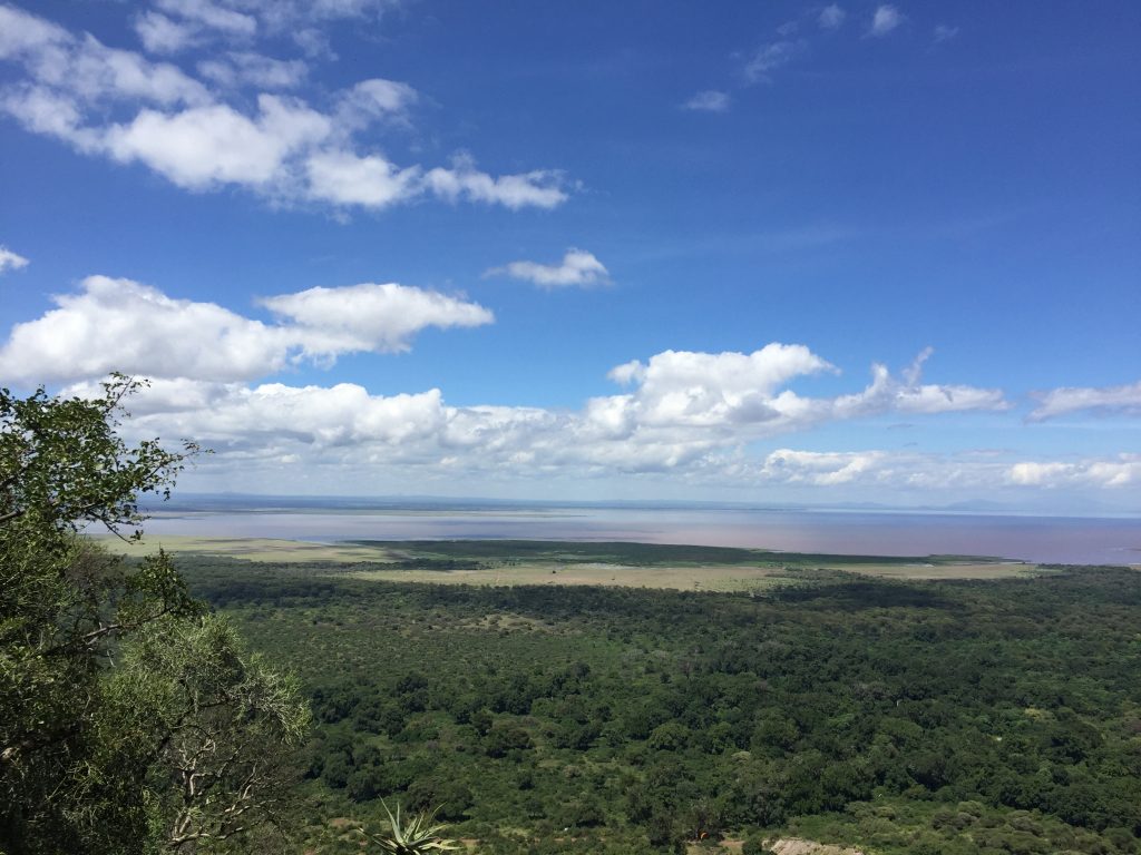 Tanzania Safari Background