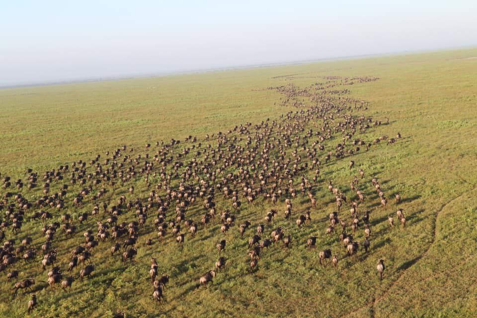 Serengeti National Park